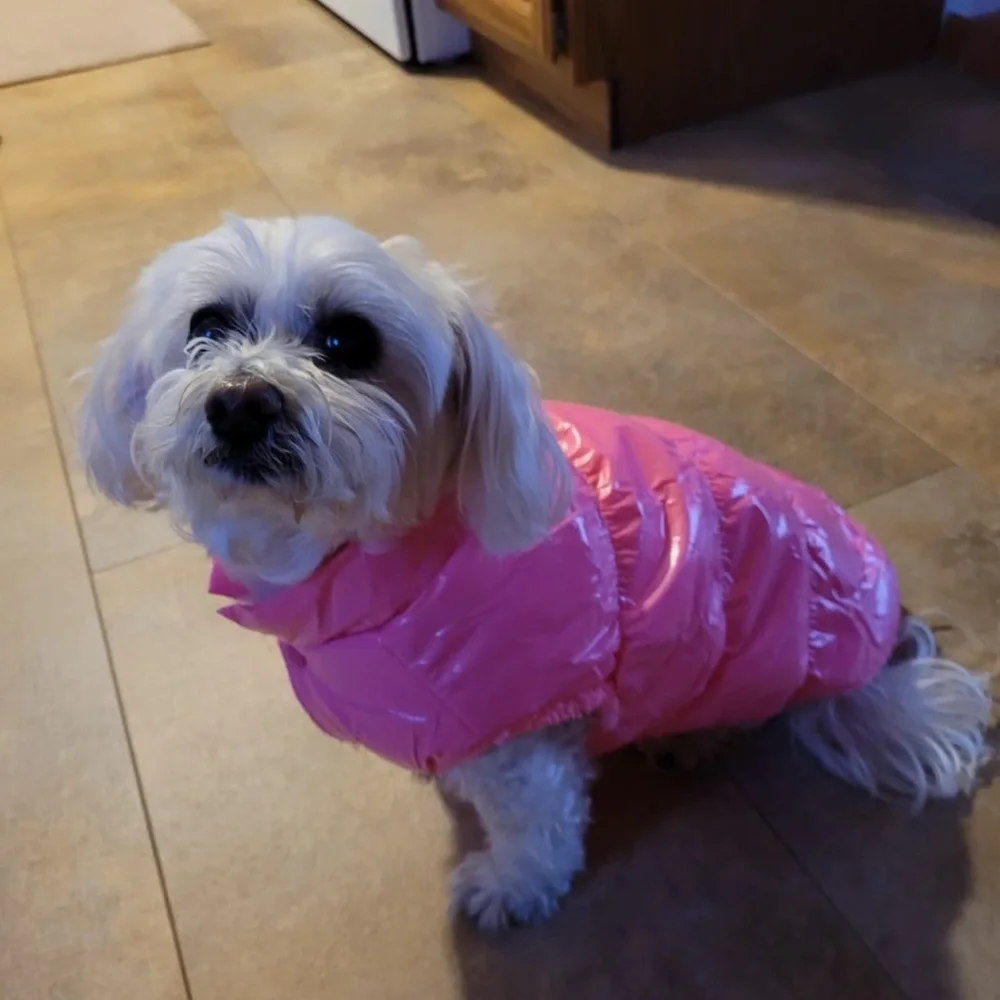 Pink Dog Coat Jacket | Warm Winter Pet Coat |X-Large | Cute & Cozy
